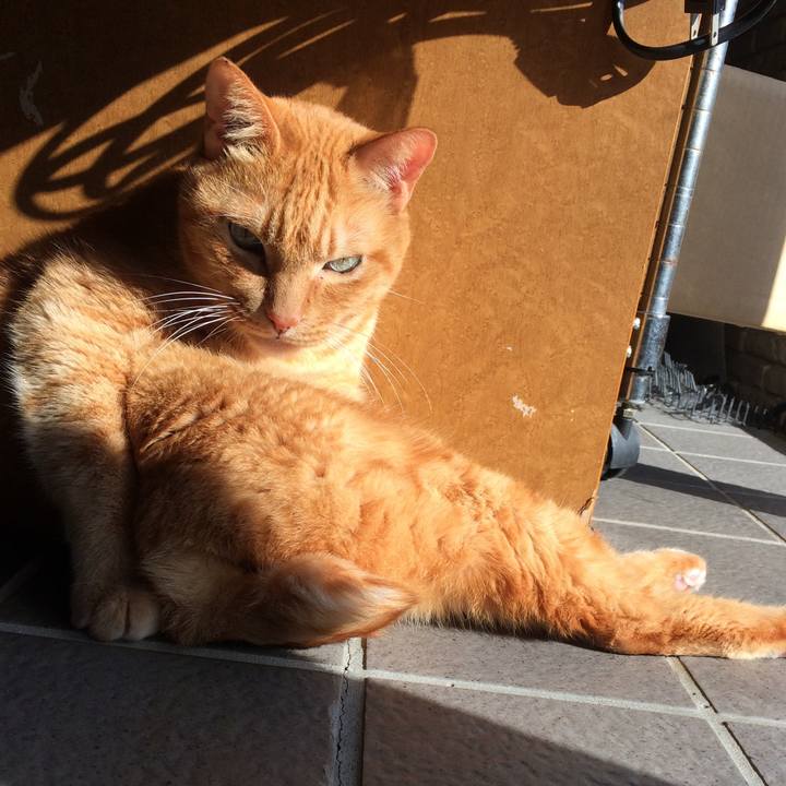 64184fd4 7304 4a8b b6b4 1a95aead5d62