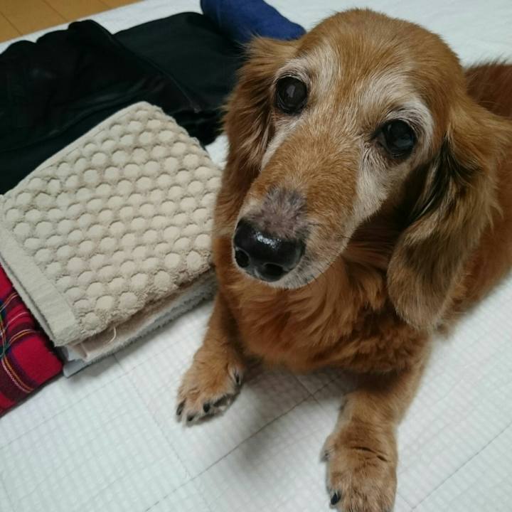 6418b596 3cb5 4e75 883d 66c569191d98