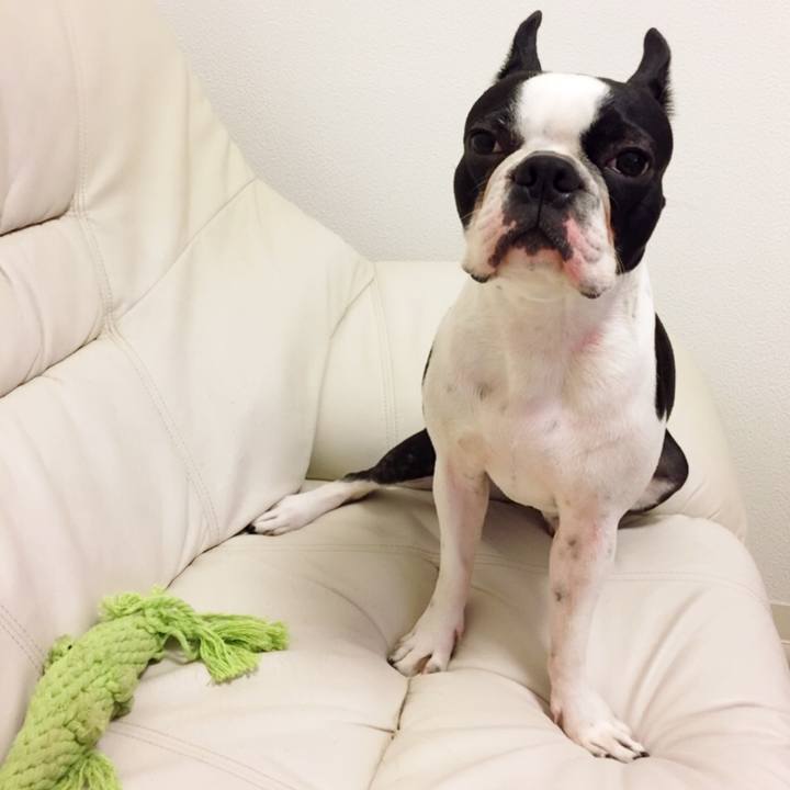 6418d99c 043a 4878 9efd 40379901153f