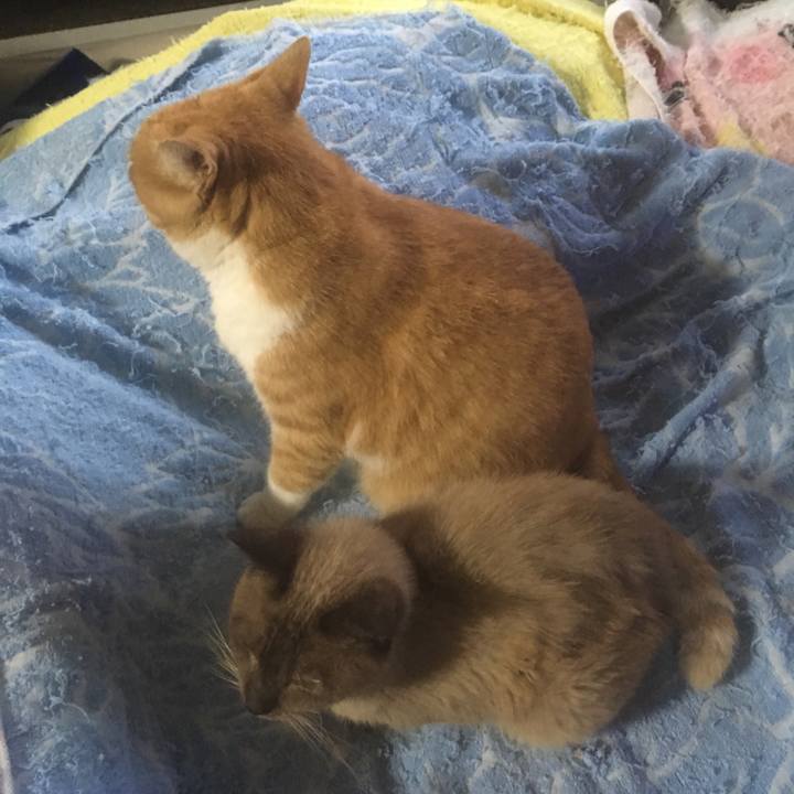 64195a03 7bc3 47b2 a597 9a99835d3404