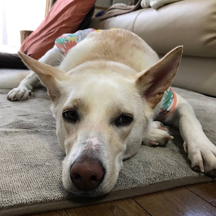 641974c3 bed2 4d9d 82f1 098bf0730880