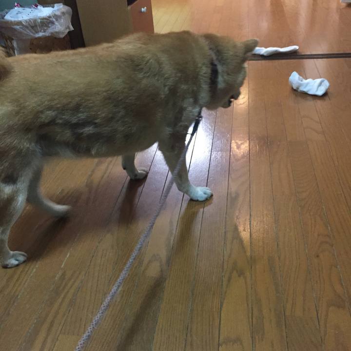 641a1ef7 d585 42d6 836b dfbeb1bbb367