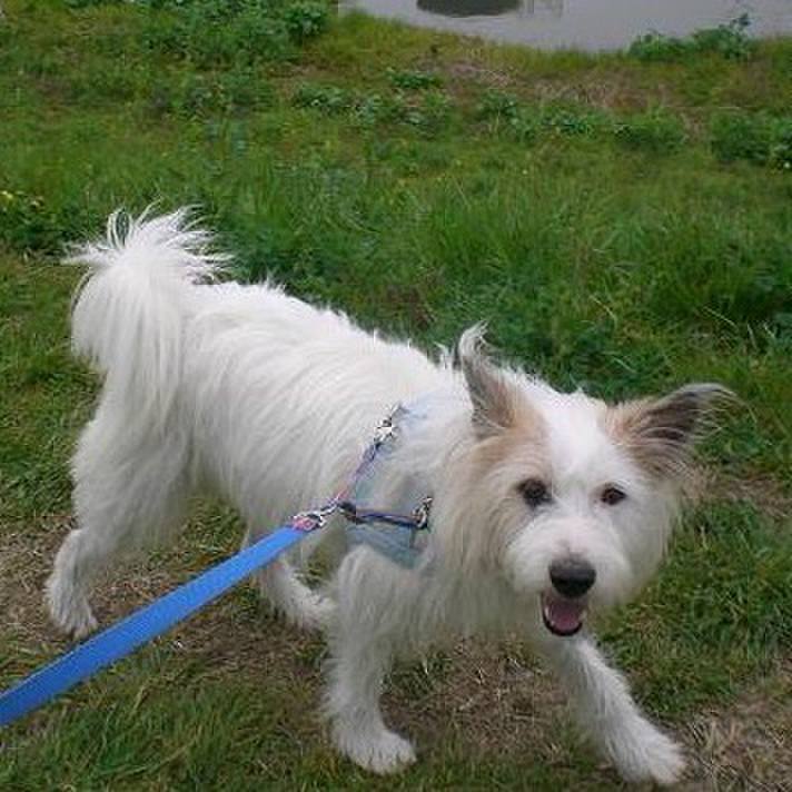 641a4785 7eca 46dd ad0d b09c5372bb63