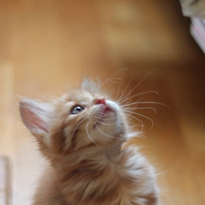 641a48d7 5b2c 4b98 a2a1 61409b22e8f2