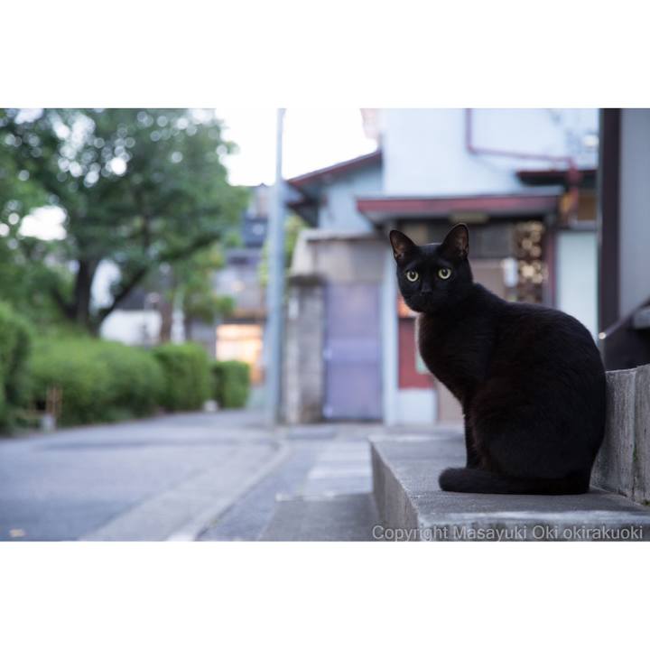 641aaa66 e47d 4dec 9f5a 8e079dfdcab9