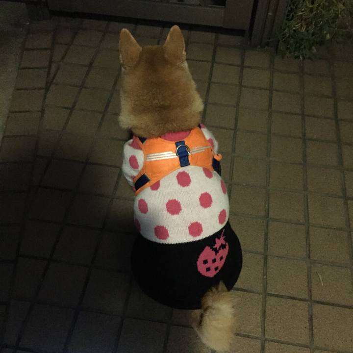 641abb23 dc77 4233 9ecf 43af324911fe