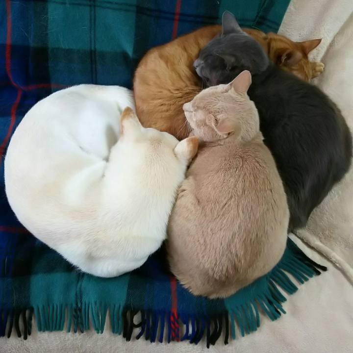 641ad436 b40f 433c 8eae b88f4f9ef835