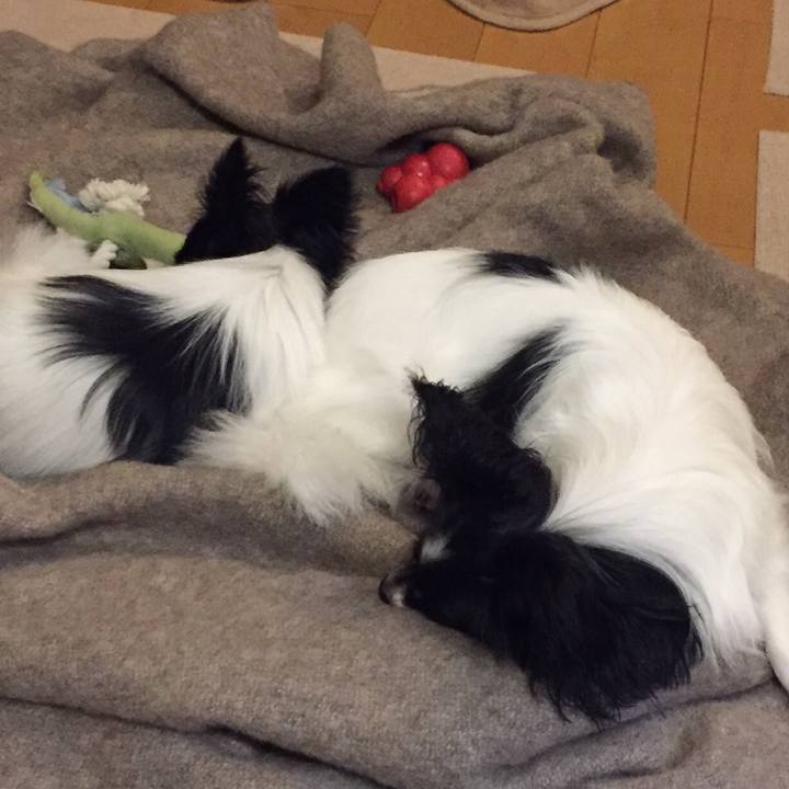 641ae95f 1c11 4a97 af86 e94a22272895