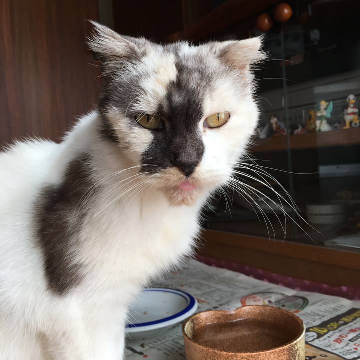 641b465f 7d5e 4a0c 9925 d043734363ce