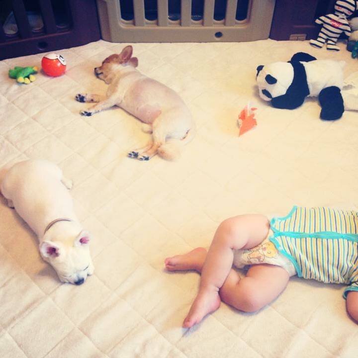 641c9e0f f7e9 4b75 9dc2 a441249f99db