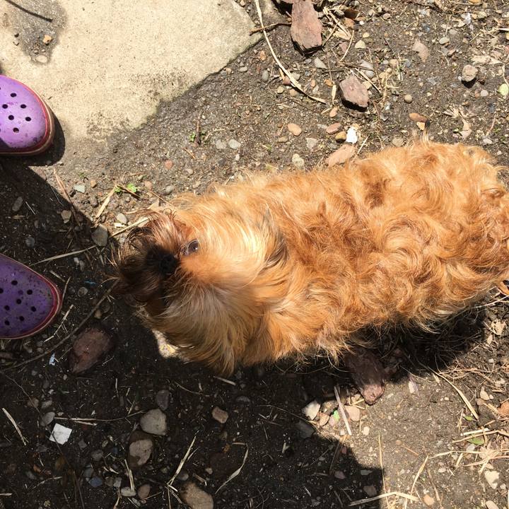 641cc2a1 0400 43c0 b120 d72f7dc32e5a