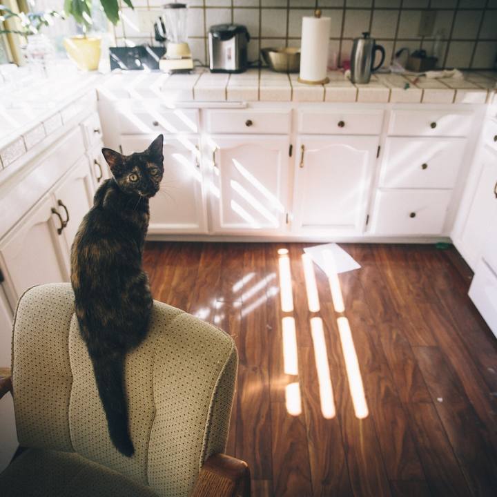 641d95c5 4276 482f b58e d8df77458e78