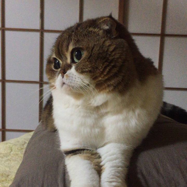 641e0194 41f9 481e 8f31 90d406179db3