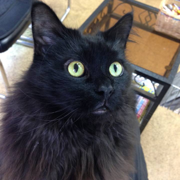 641e2348 4b59 419a 823a eb28f5d96e8c