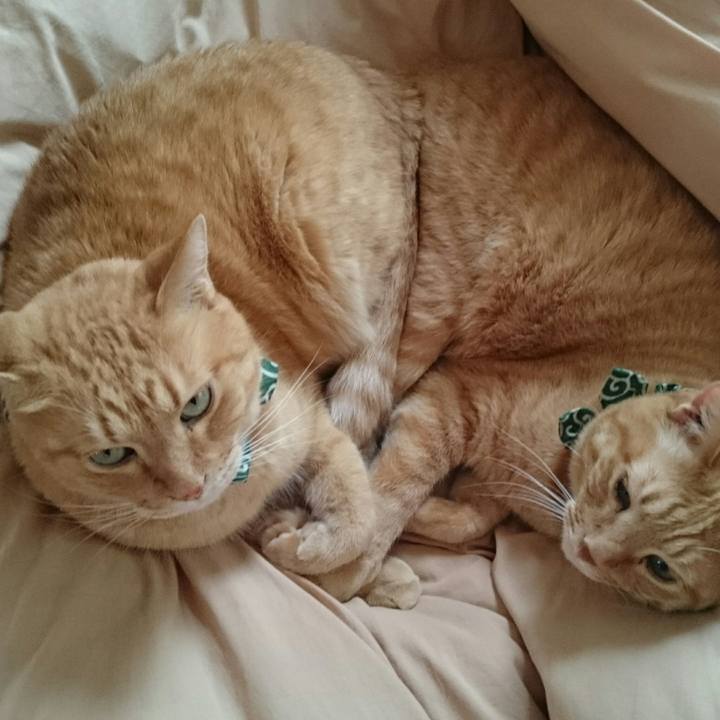 641e2a43 9dee 4a87 8d26 164c06d516d9