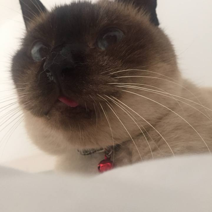 641f0642 fca0 473a a337 27f064de844f