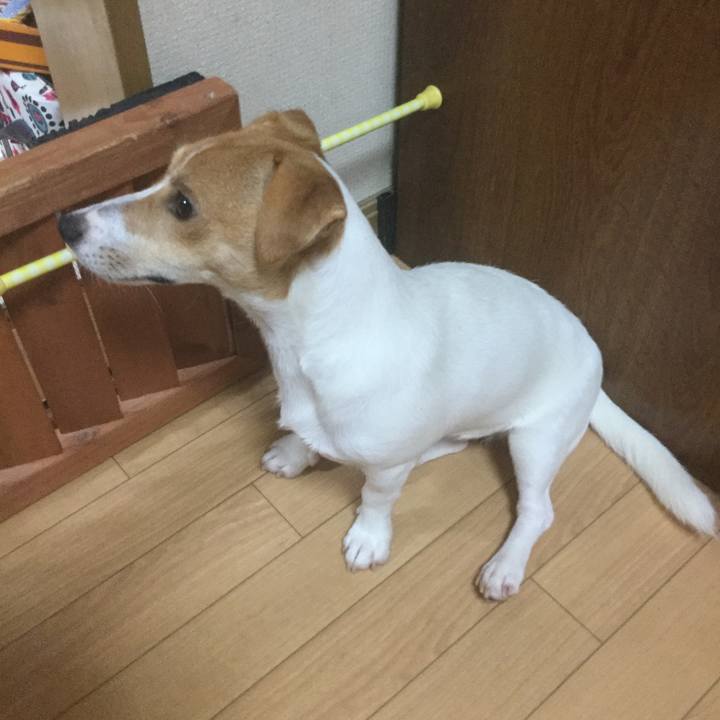 641f265f caeb 417c 9f5c 61afb95c3078