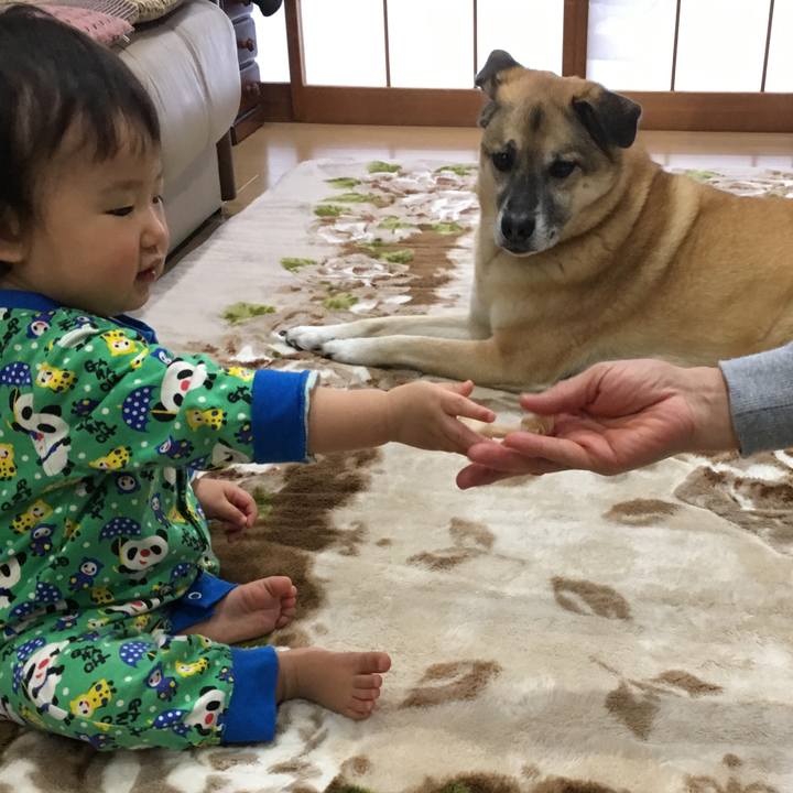 641f9e10 6841 4b2b a21d 946dab208c58