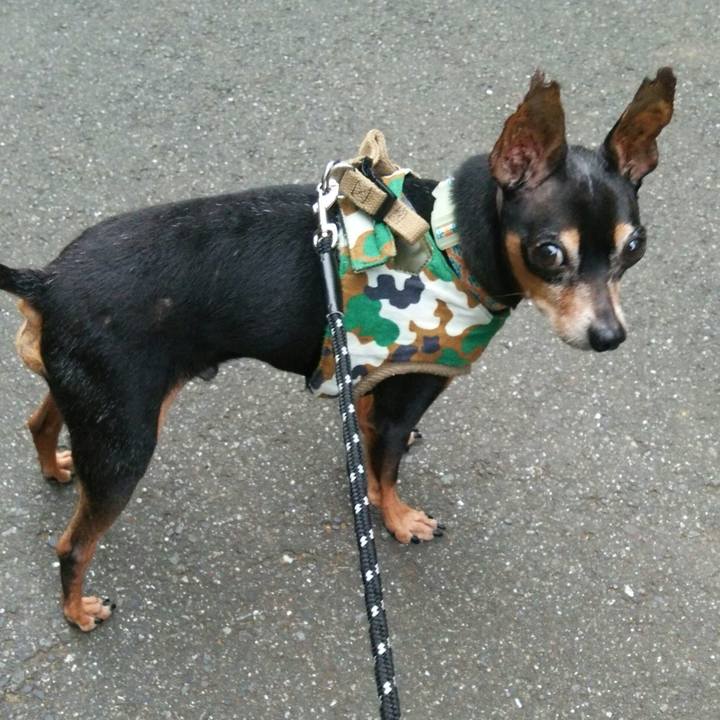 641fcb51 d5f5 4728 9e45 45155d111fdf