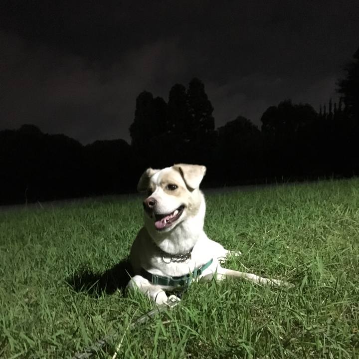 64208d48 bc99 4f55 be64 b07c94c5ff17