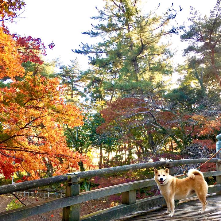 6420c309 c457 4269 925e 438f4d835b60