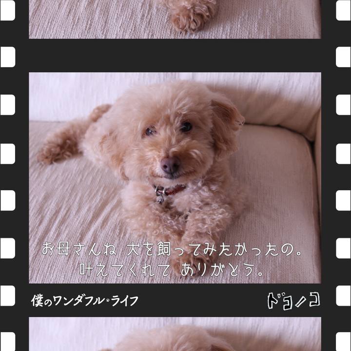 642157ce 05a3 4066 9a15 8954822248db