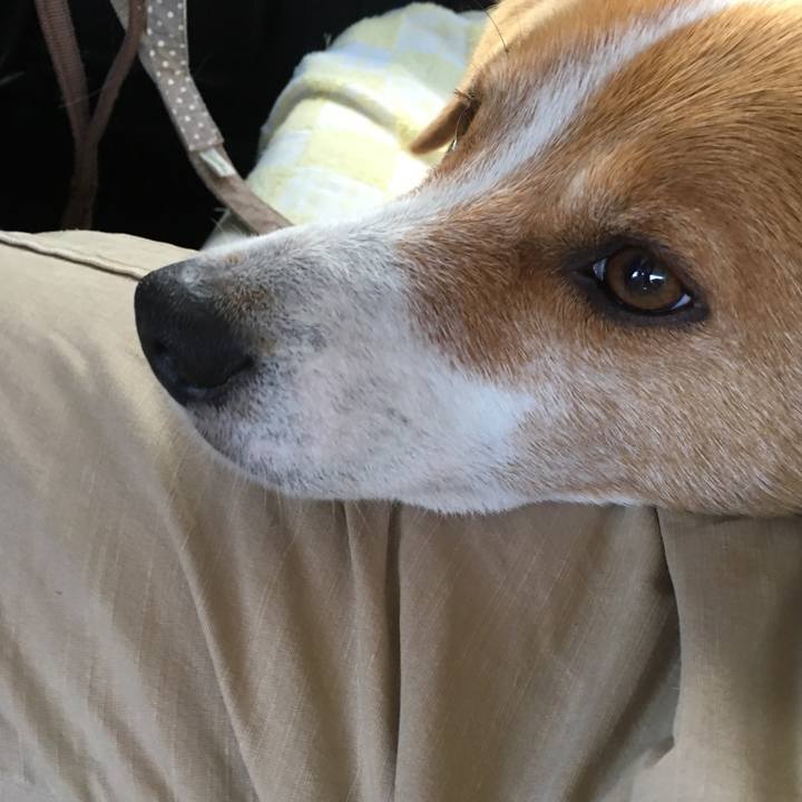 6421a54c 6f76 4f75 8d0e 5c939f52c6d5