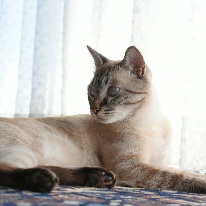 64226a7c 3462 40af 86bb e45d33647c49