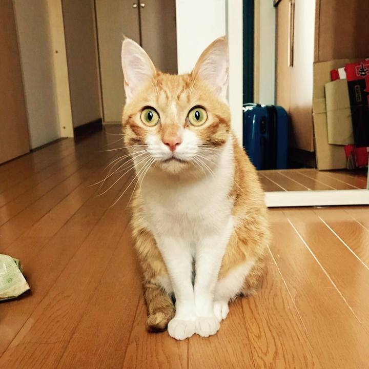 6422a3fb f86f 4de0 9760 5a283b960027