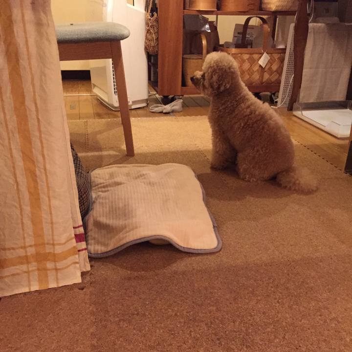 6422dc53 7c64 47d4 975c d51502b45513