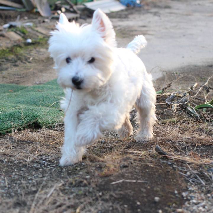 6422e608 c41a 4e20 897f 920eae607b17