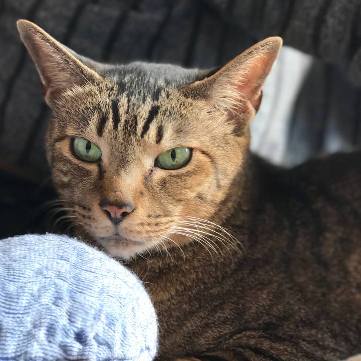 642370f2 ab1a 4cfe a560 d505acaa507f