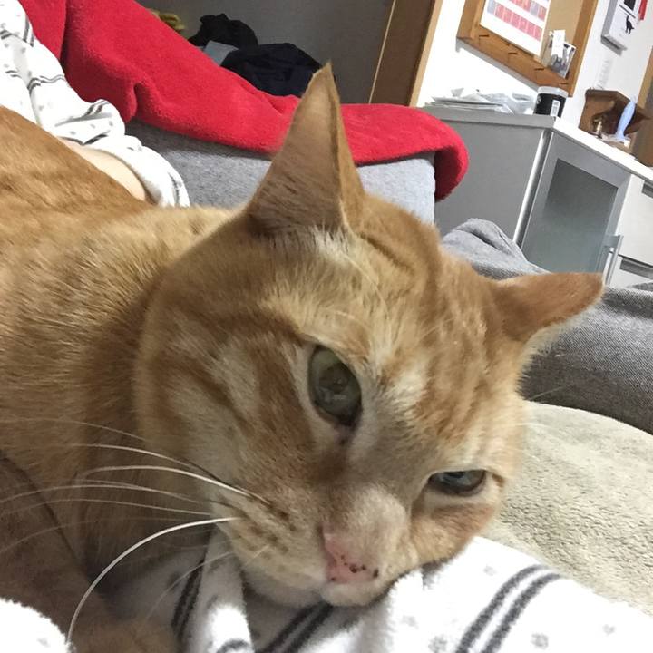 64238625 3dab 47ac 98ed 2b6f7f89b3c1