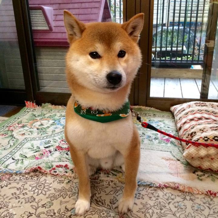 6423f70c 7c66 474c 9e32 10522ae4e549