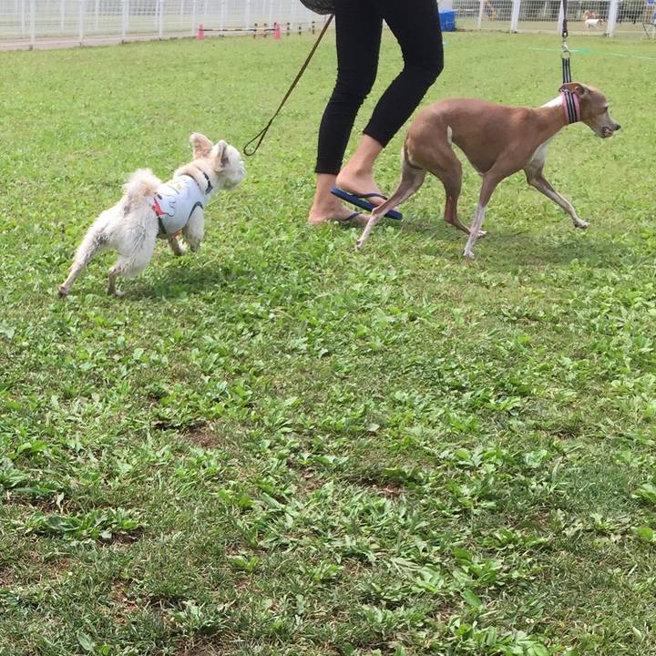 6424b931 2a84 4190 aac1 c8e41144b6ca