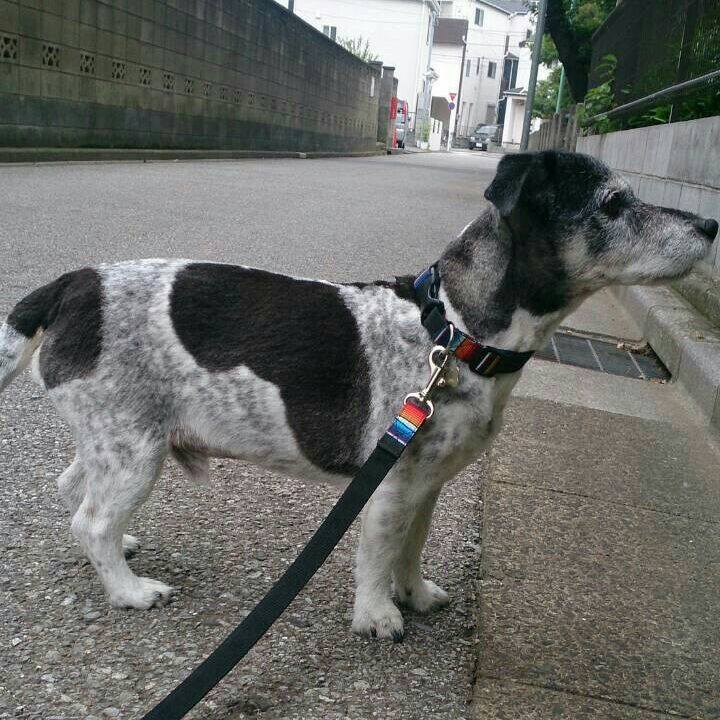 642502eb 19b6 42d4 a670 c6bc30ccbb04