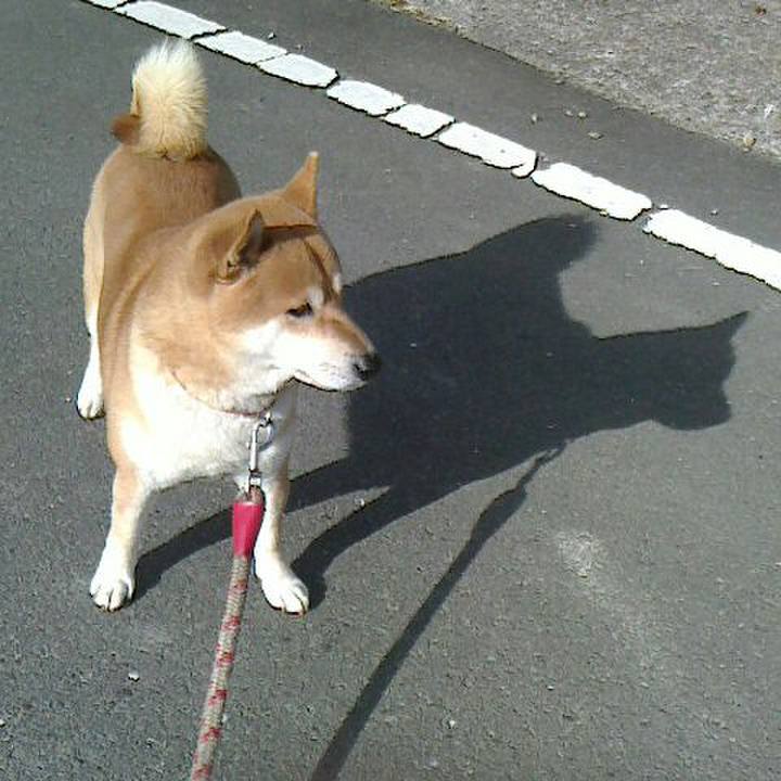 642515d2 83ed 4a93 8a92 2bc2937c6a94