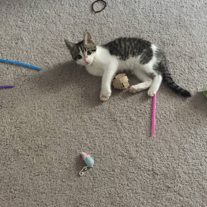 64261210 8a60 4ce4 83a3 2f1644b27d6a