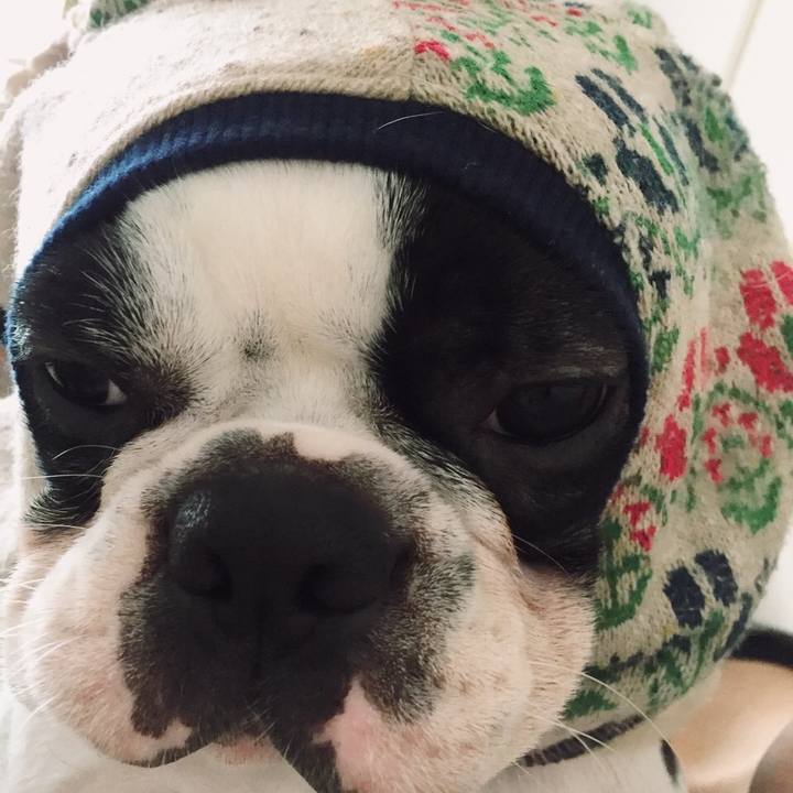 642618cb fa7a 4058 91c1 c9387a725349