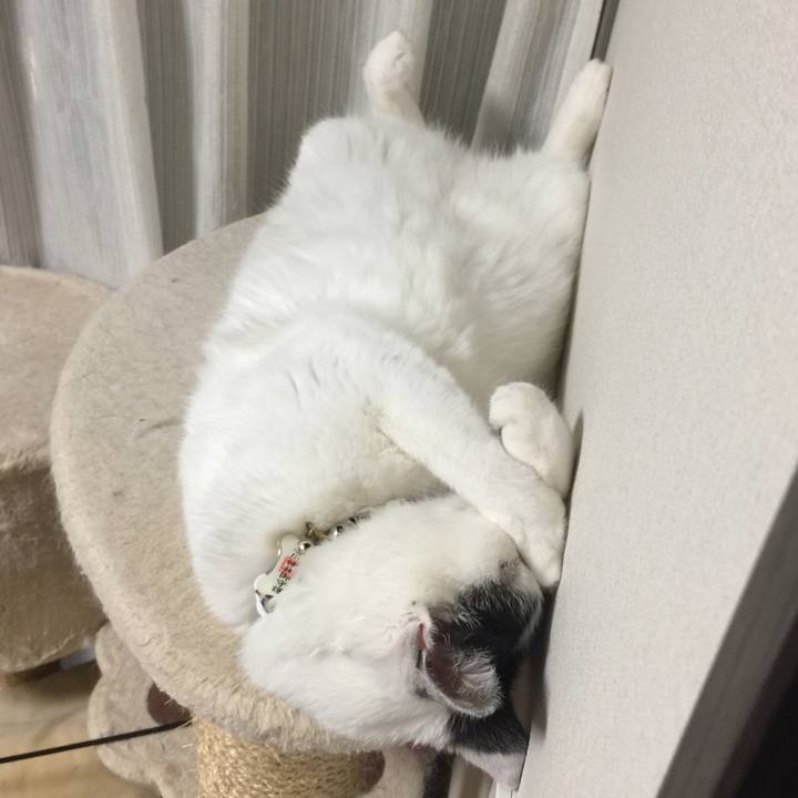 64263c49 a6cf 4bb9 844a 1d8086579c86