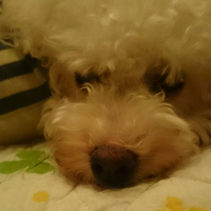 6426481e ce66 4cb2 8829 d7f330c4b2a4