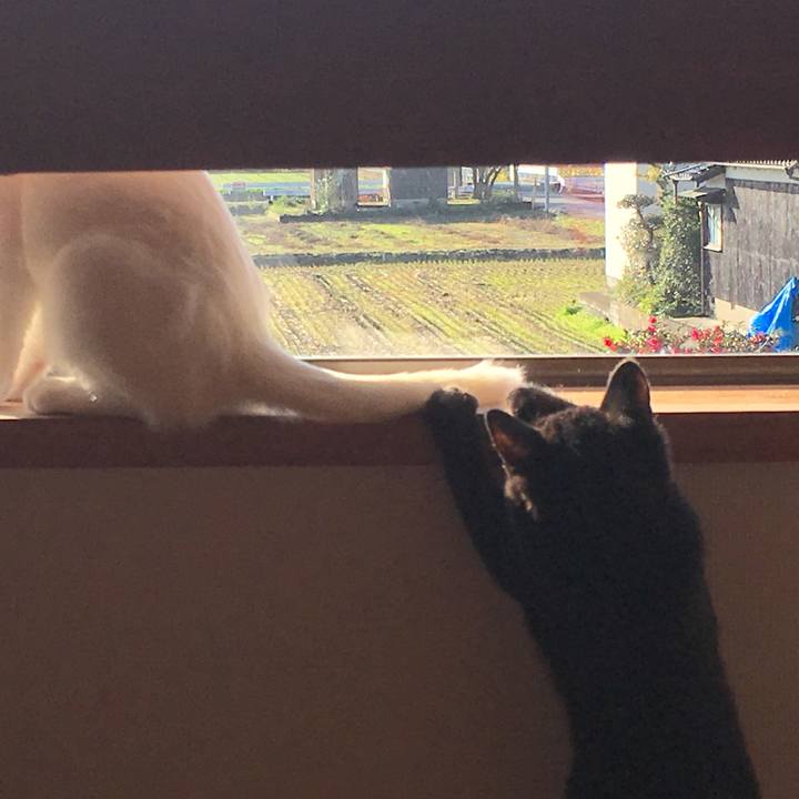 64266871 8bbc 4df3 80c4 56ff11a8888e