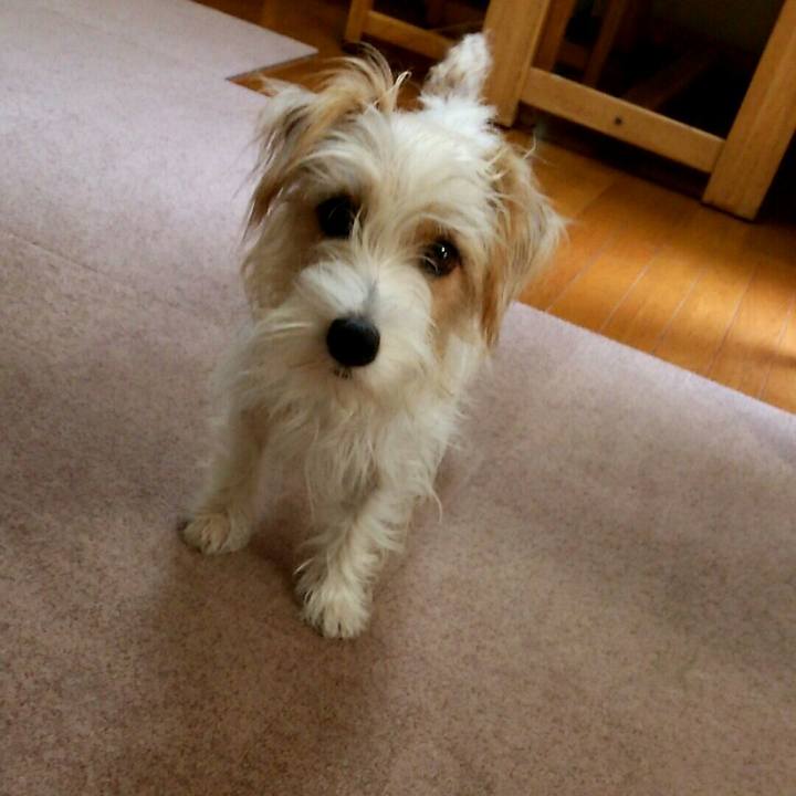 64269d1d 995a 4aa6 a107 2477df440236