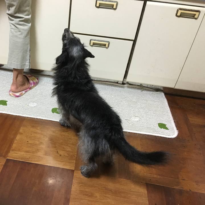 6426d42d 6606 4dfb 8797 1238f0a9c3ff