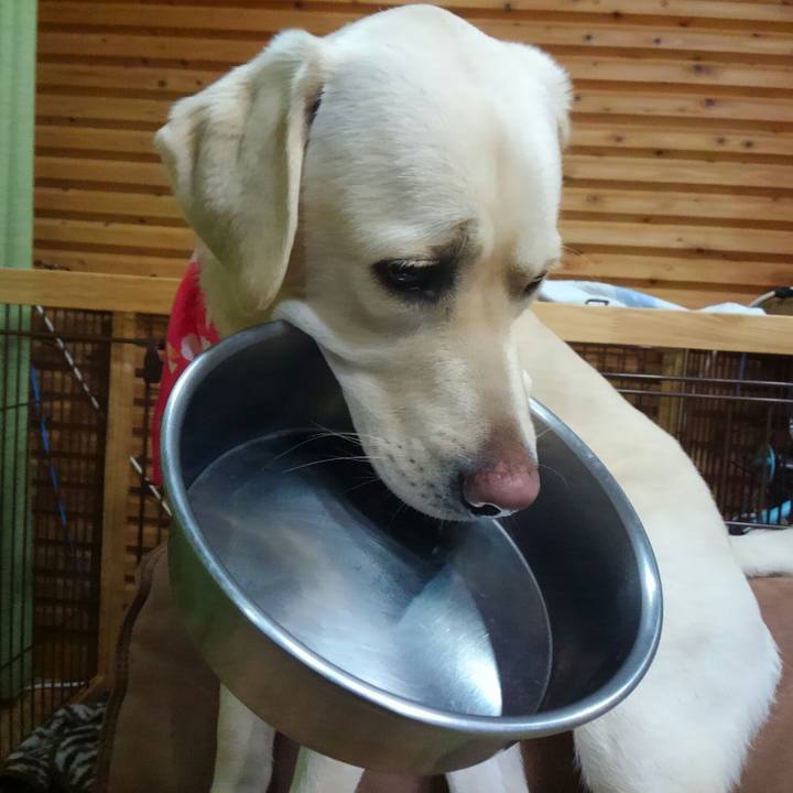 6426ffbb 94f0 45f0 b468 48181653cff6