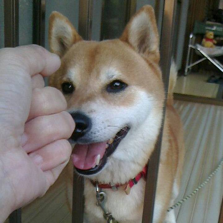 642752a8 0eda 4654 bd5e 920b7986d6ec