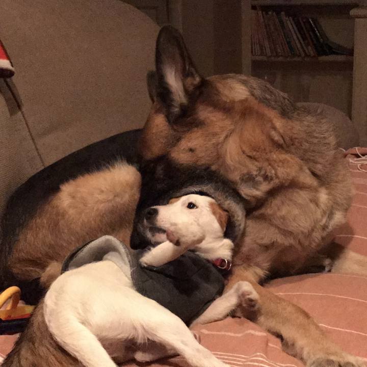 6427cfd9 b04a 4354 a013 ab377743a196