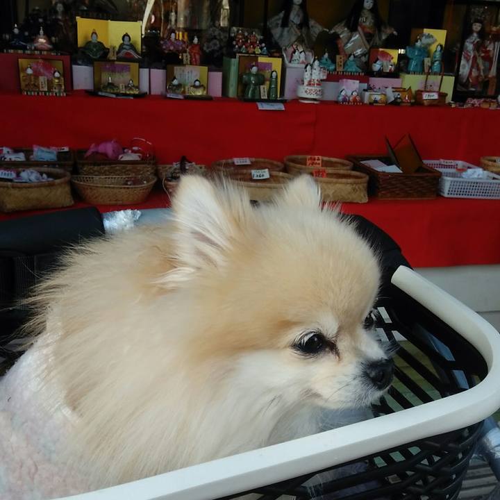 6427ddf5 1c3c 4ccc 9e0c 0fe66e3055d5