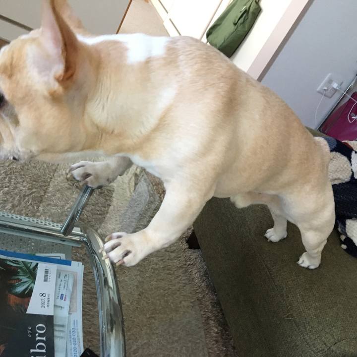 6428512f 12a9 455f 9015 f92772bb4246