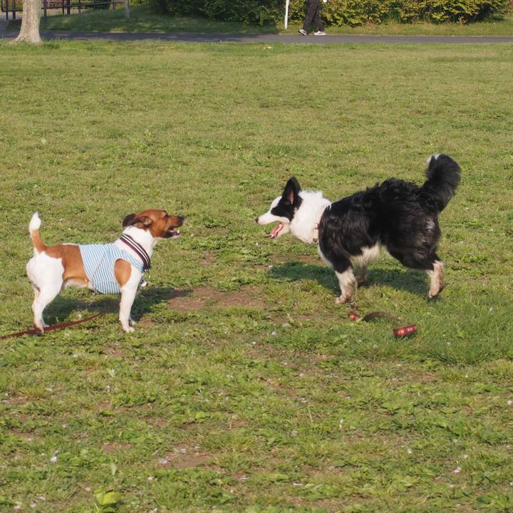 64286b9d 2ea9 465e 9af9 0b45dde4789a